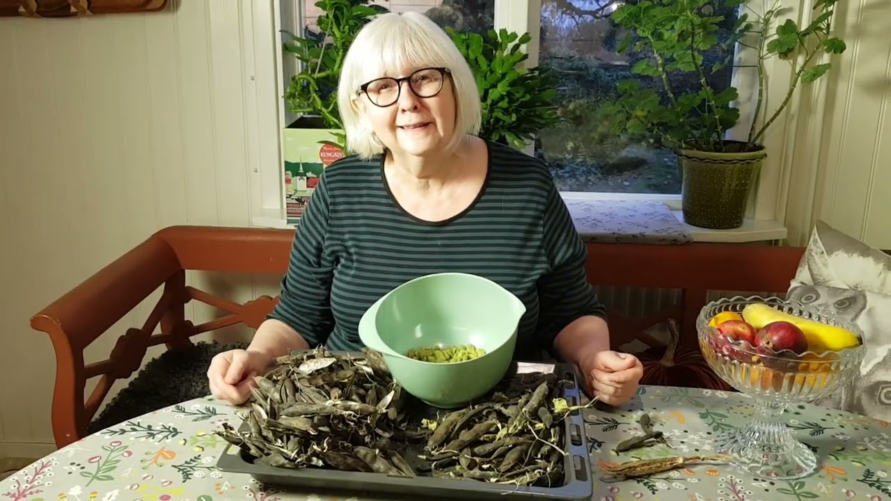 Torka och sprita bönor