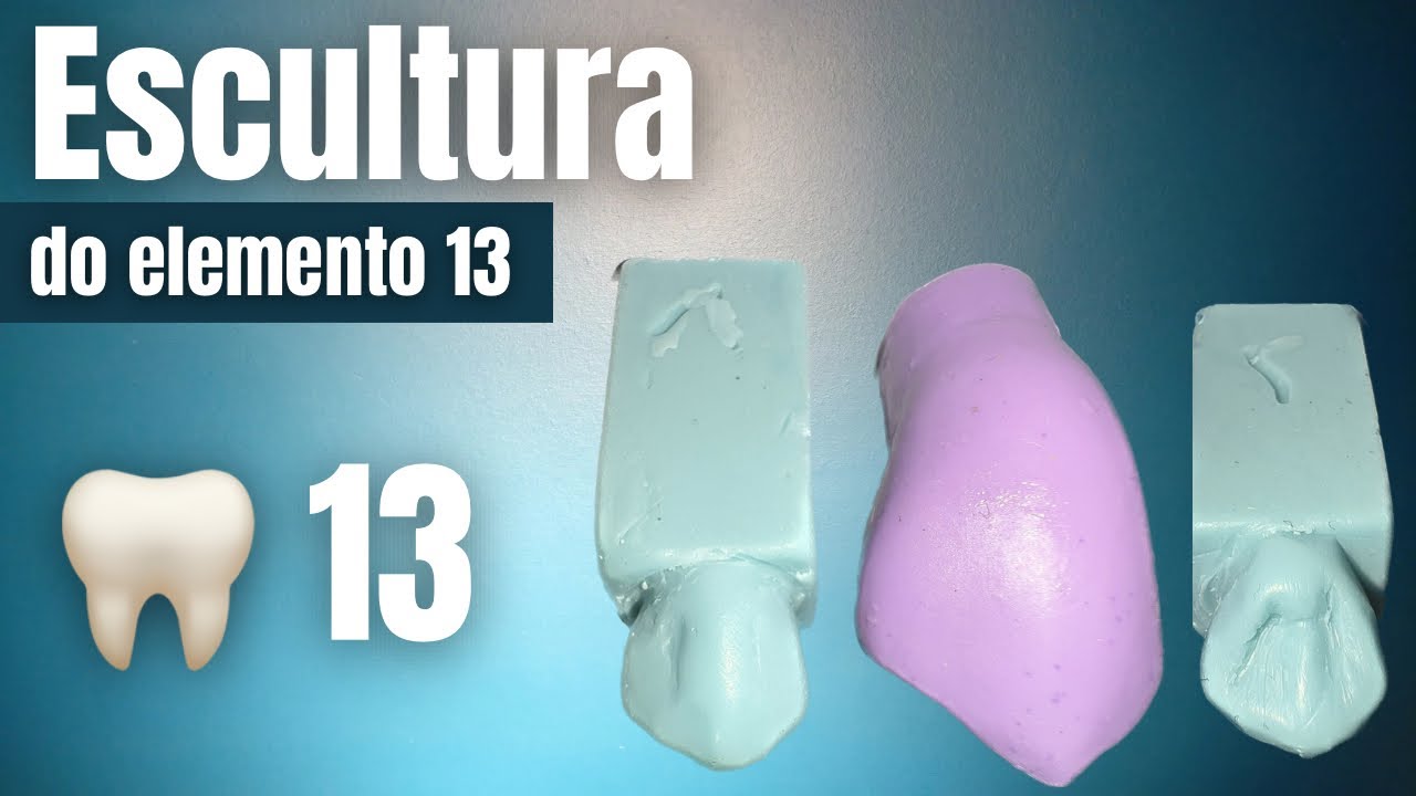 Escultura do dente 13