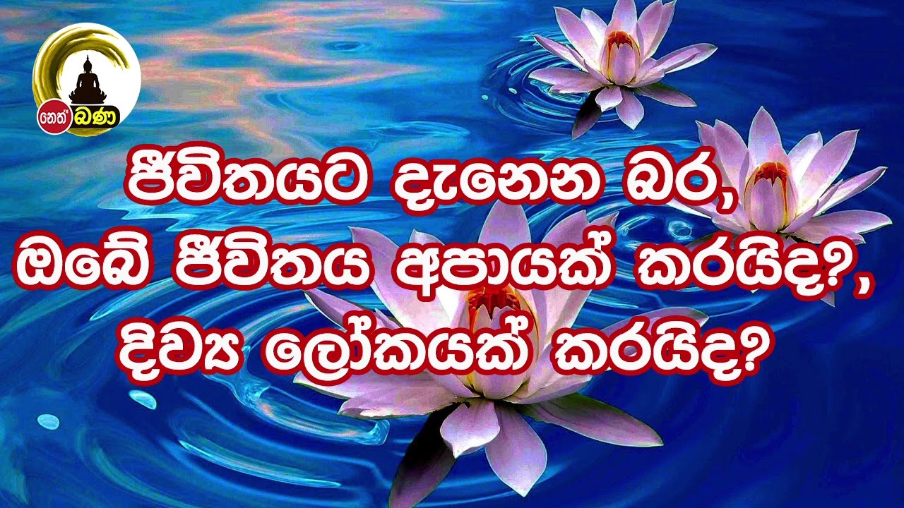 Olaganwaththe Chandasiri Thero - 2023 05 15