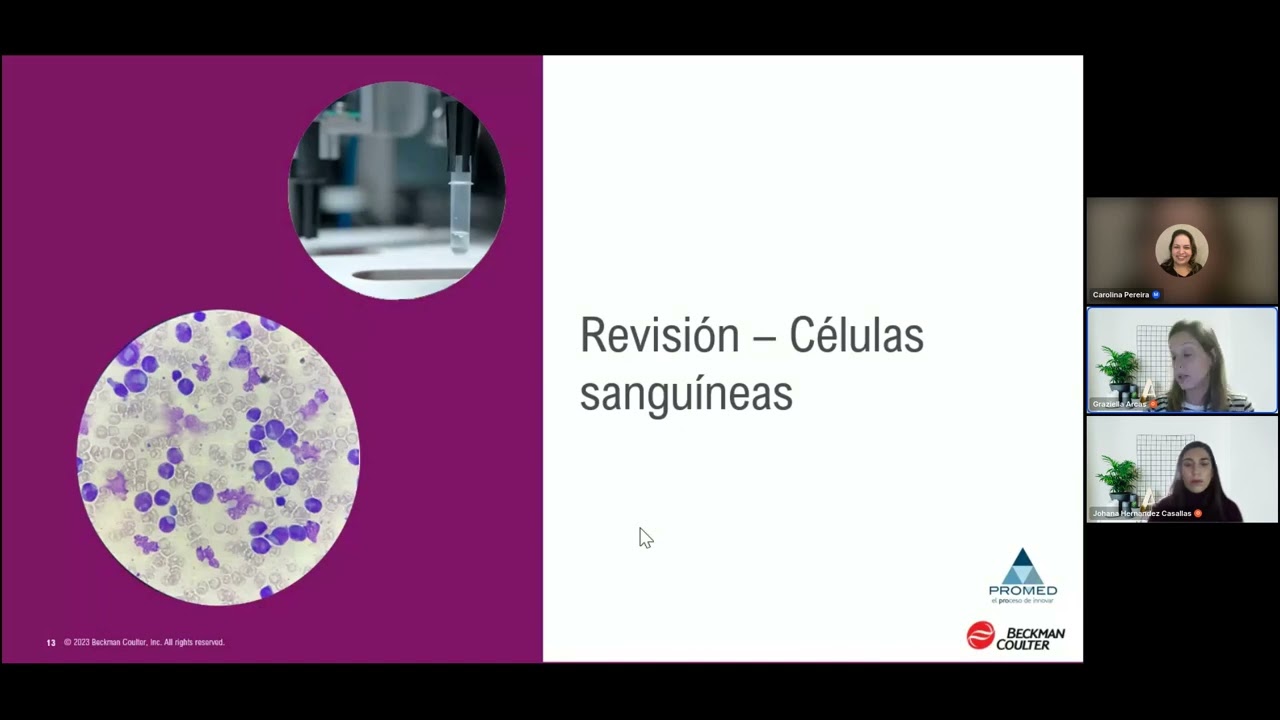Beckman Coulter - Club de Expertos Hematología - Fundamentos de Hematologia