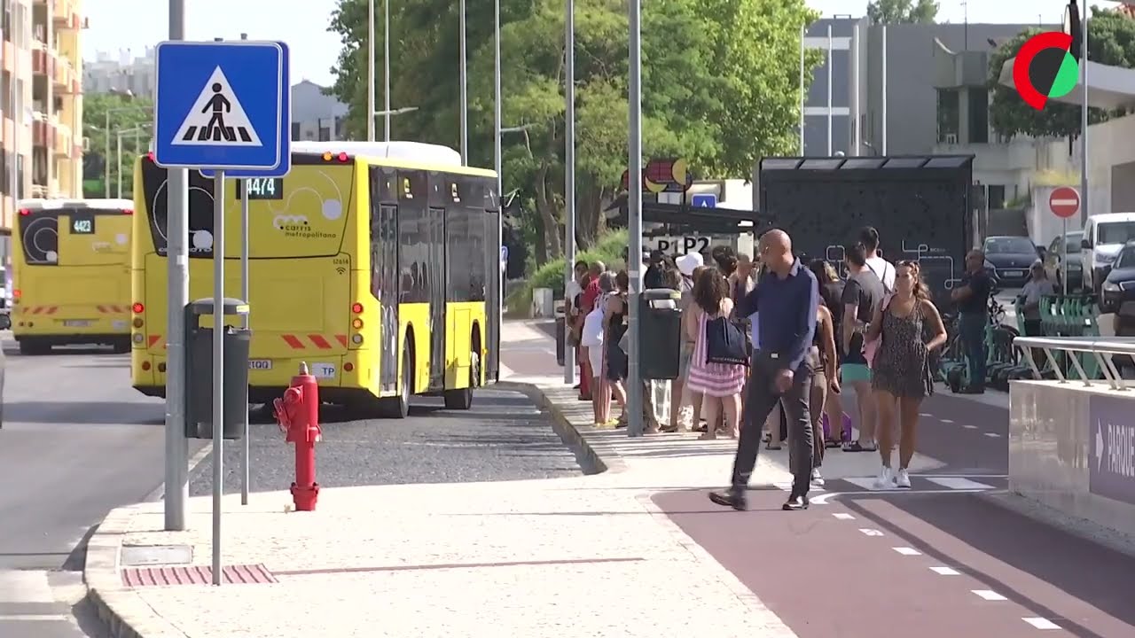 TML faz balanço positivo da Carris Metropolitana e diz que há mais passageiros em Setúbal