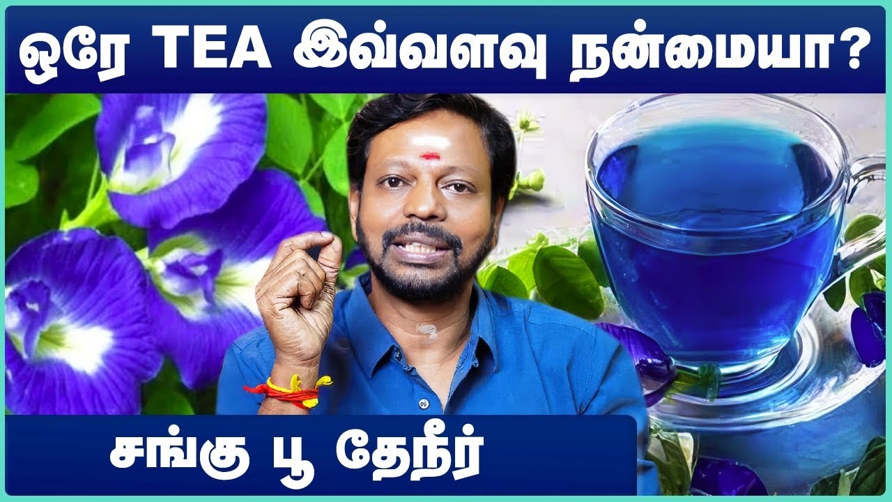 சங்கு பூ தேநீர் நன்மைகள் | Sangu Poo Tea Benifits | Mayan Senthil | Cosmo Health
