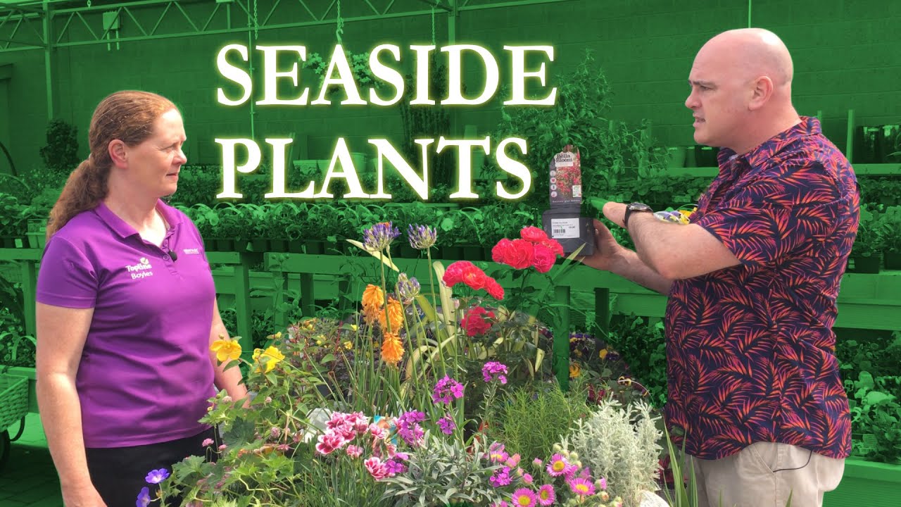 Plants for the Seaside and Coastal Areas - The Kerry Garden Show