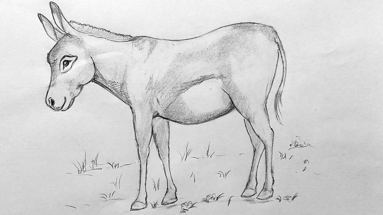 How To Draw A Donkey اا Easy Drawing