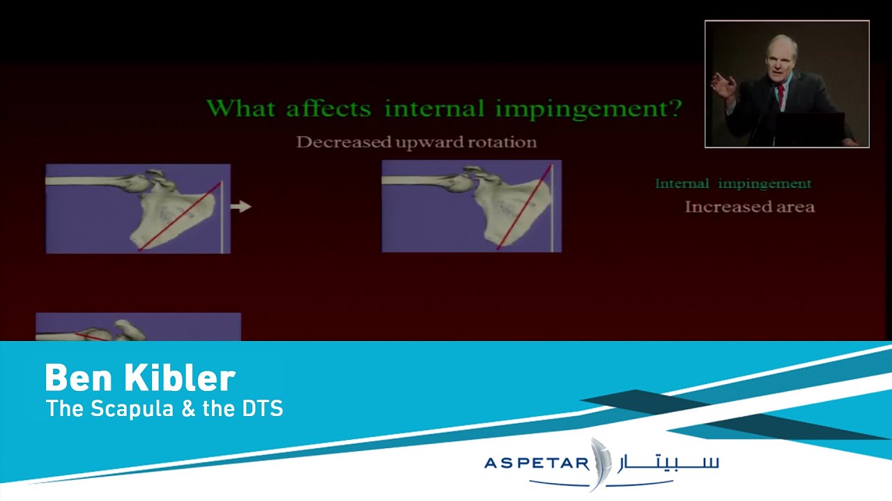 The Scapula & the DTS by Ben Kibler