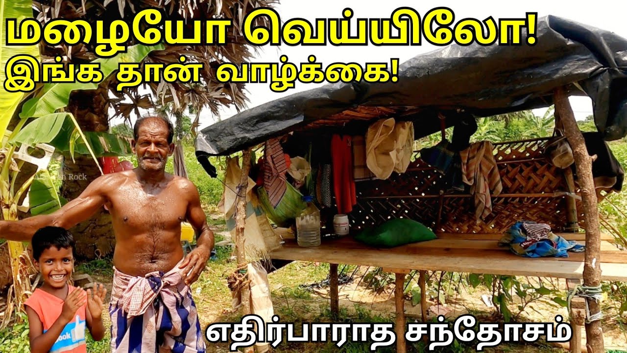 இவரைப் போல் யாராலும் வாழ முடியாது! கடின உழைப்பாளி Jaffna Village Life Farming | Alasteen Rock