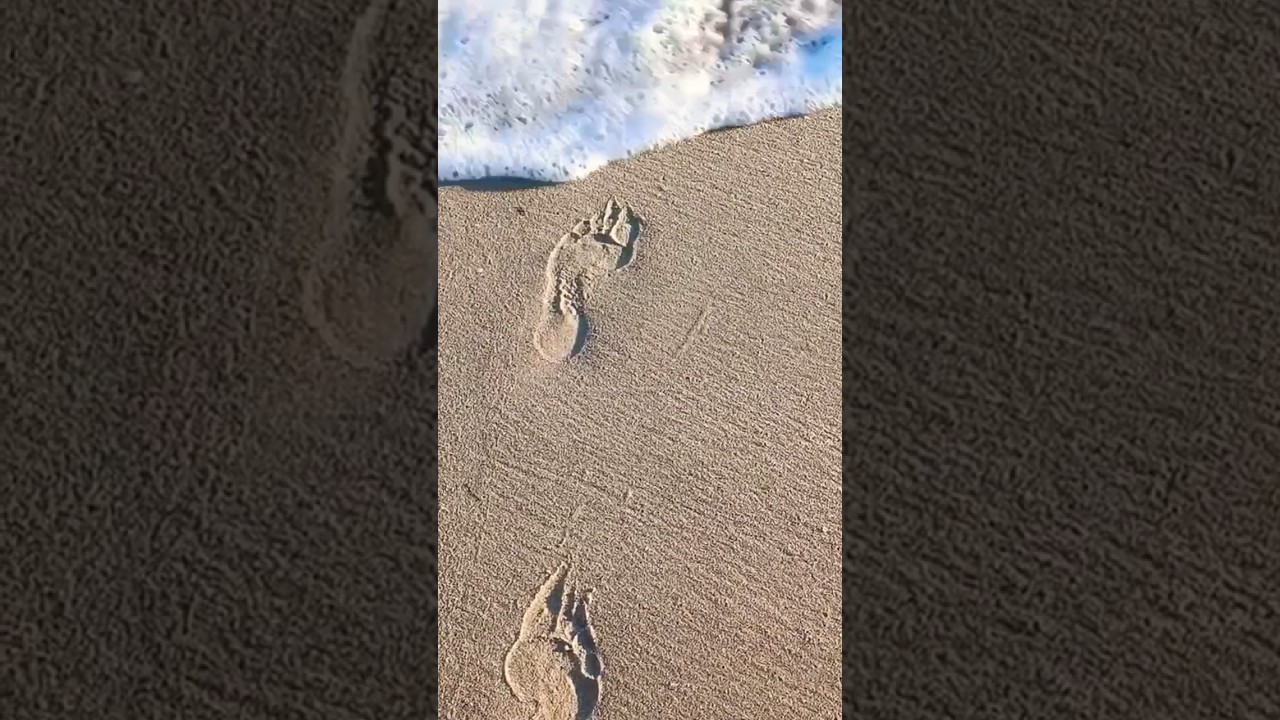Effect Algara beach ⛱️⛱️⛱️