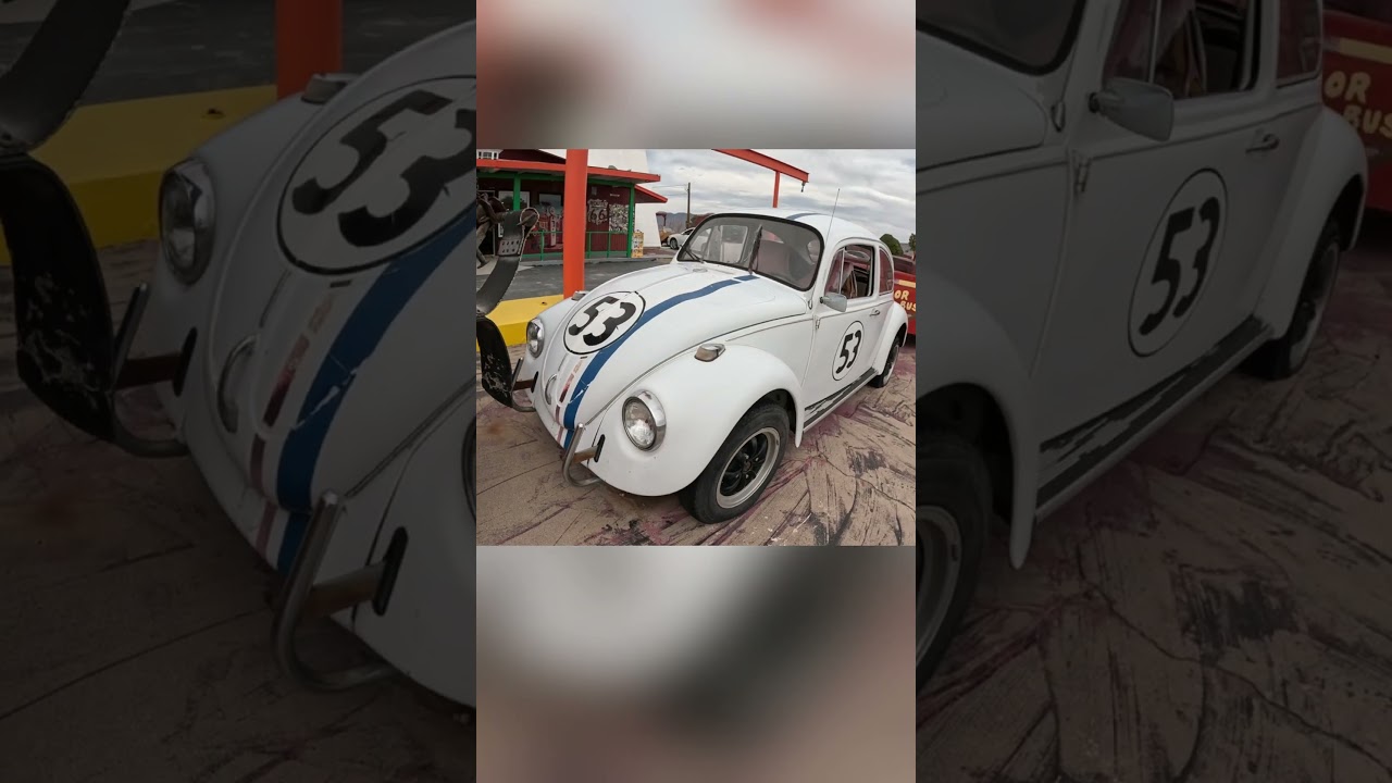 Ich habe Herbie gefunden
