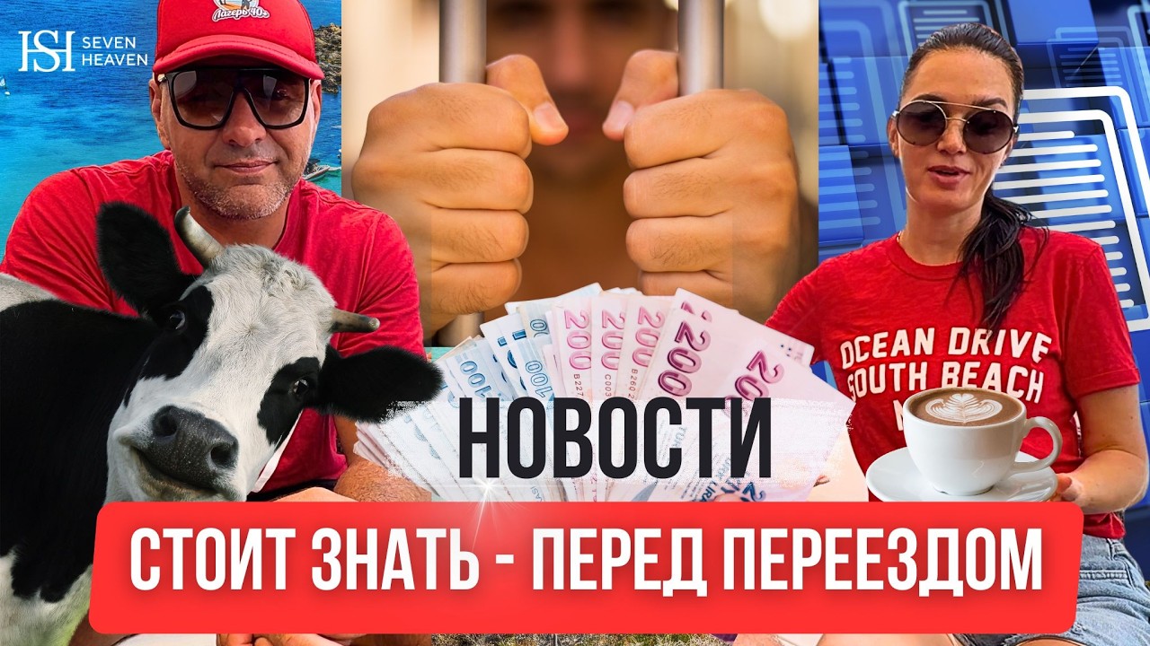 Новости Северного Кипра: документы, молоко, зарплаты и хлеб — что важно знать
