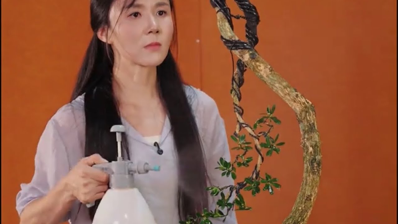 one day you visit with love of bonsai