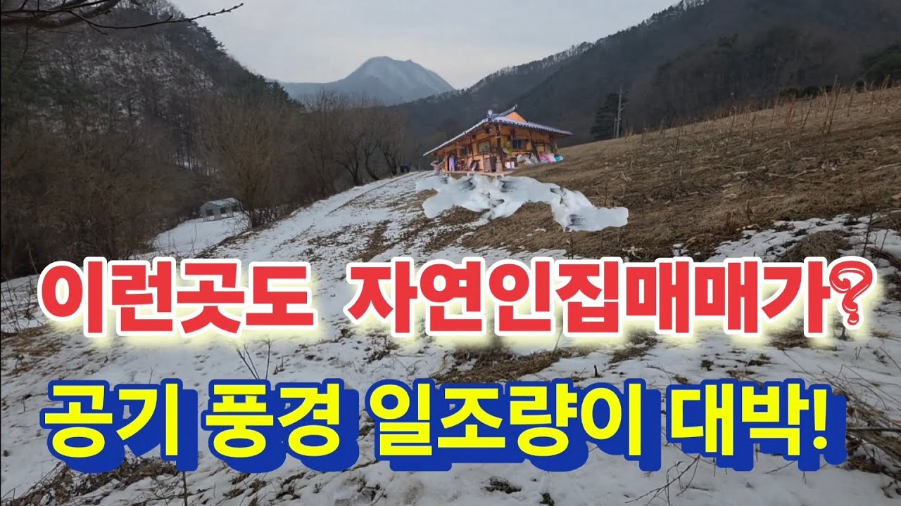 환상적인 곳에 자연인하기 딱 좋은 매매집이 있다고?