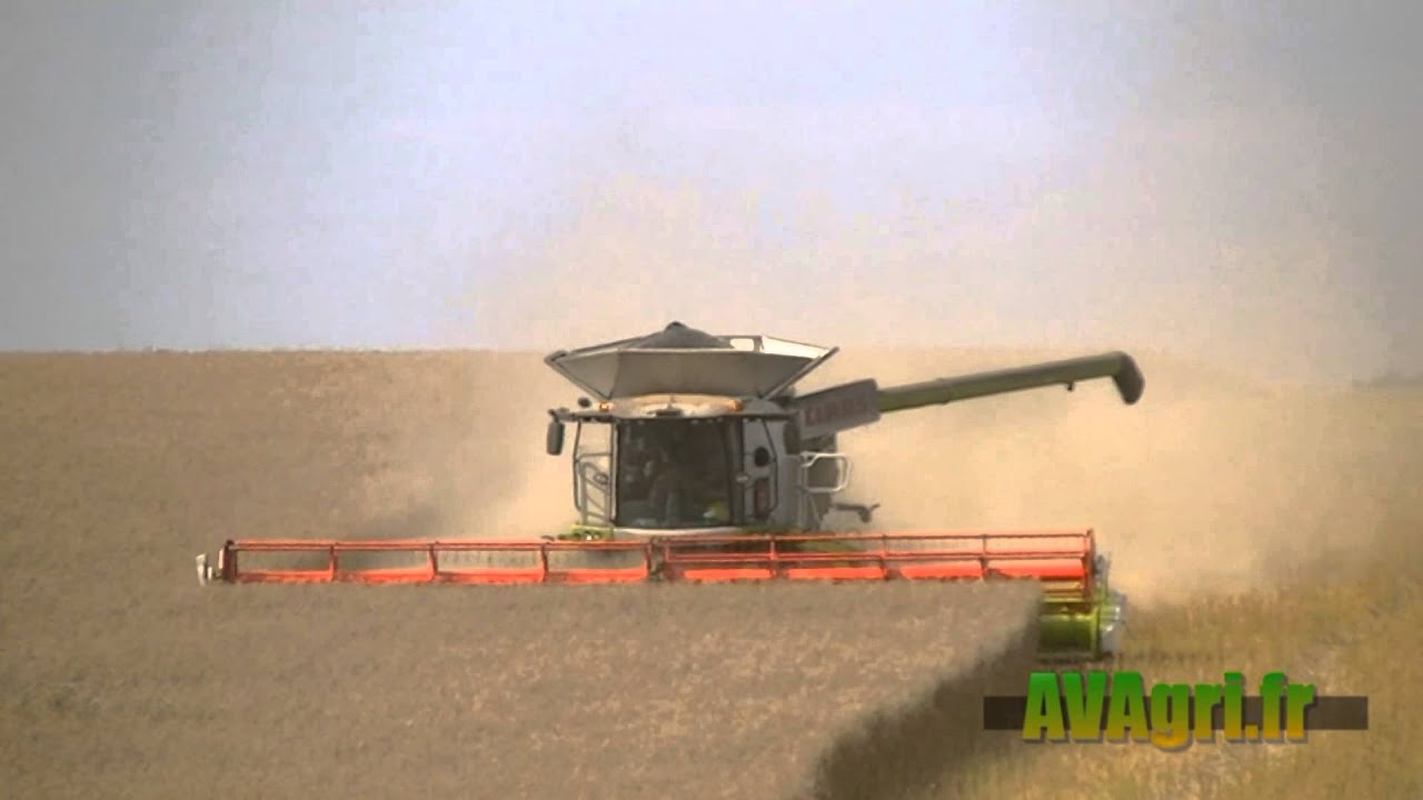 CLAAS Lexion 780 en 12m et 770 en 10m50 au colza en 2013