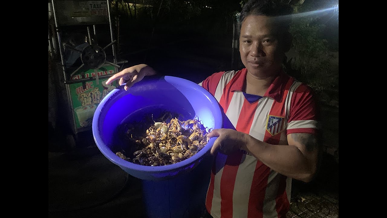 Tập 2 : Bắt cua, soi cua đêm Ối dồi ôi|| Crab catch.