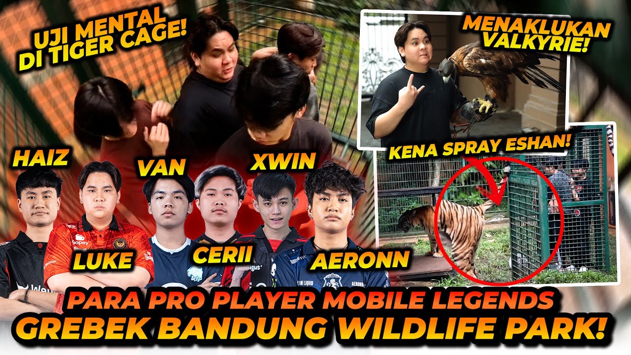BTRP UJI MENTAL MASUK KANDANG HARIMAU! SAMPE ADA YANG DI KENCINGIN HARIMAU!?