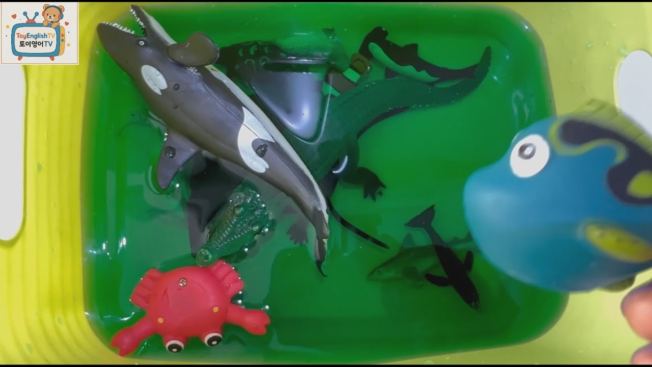 Давайте изучим морских животных на английском и корейском языках!