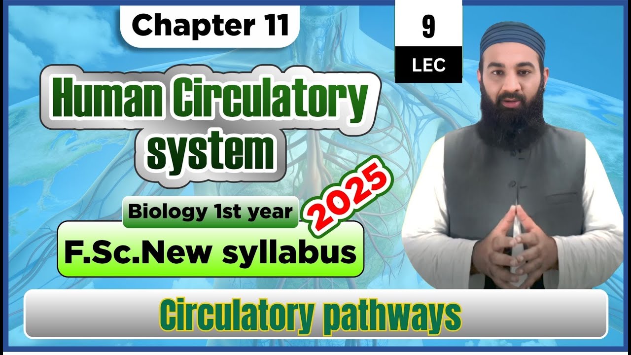 Circulatory pathways| Human Circulatory system | Chapter 11| F.Sc. 1st Year Biology | Lec# 9