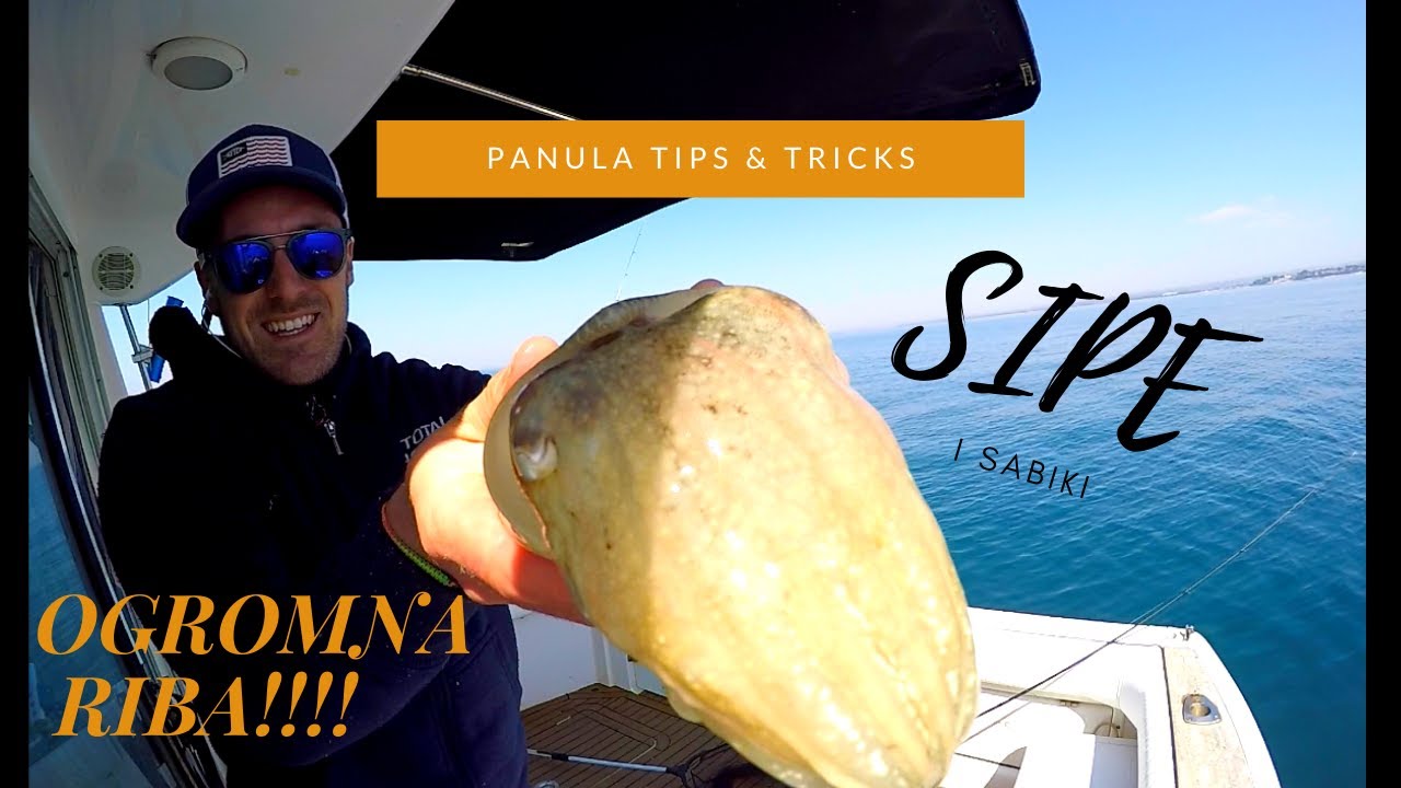 KAKO: ULOVITI JEŠKU ZA PANULU....I izgubiti OGROMNU ribu. 🎣🎣