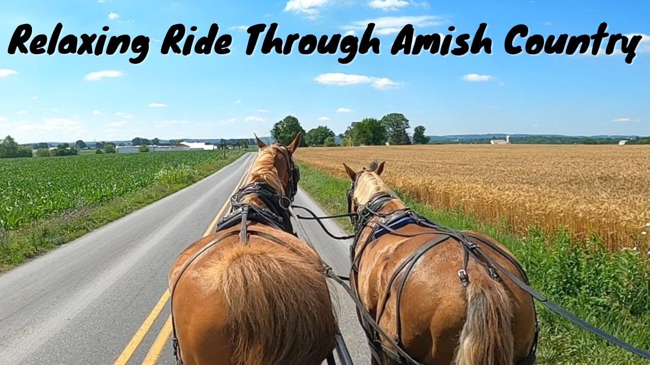 Buggy Ride Through Beautiful Amish Country #lancasterpa #lancastercounty #amish