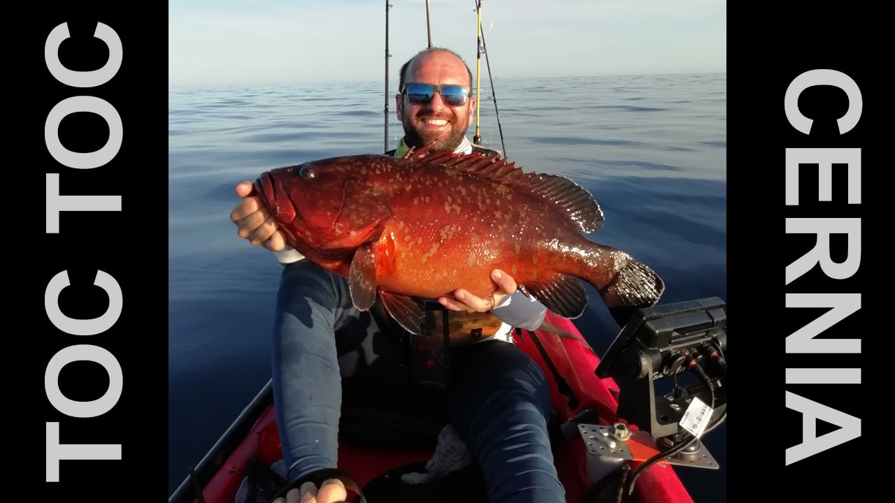 Cernia a modo mio_Kayak fishing nel Mediterraneo