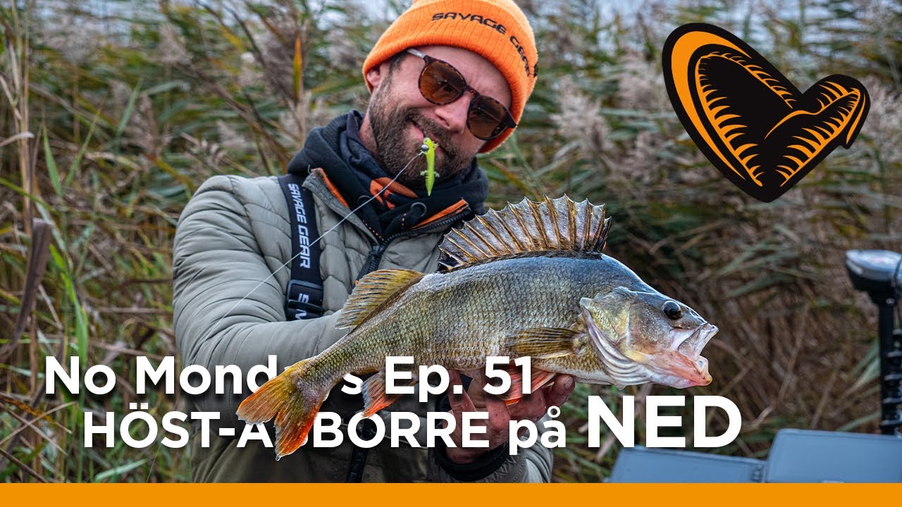 No Mondays -  Ep 51 - HÖST-ABBORRE PÅ NED