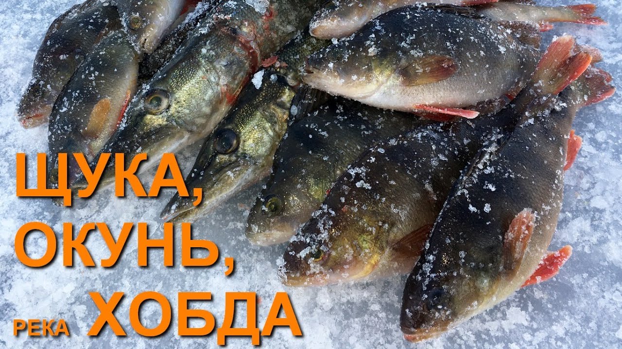 Щука, окунь, Хобда. Рыбалка в Актюбинской области