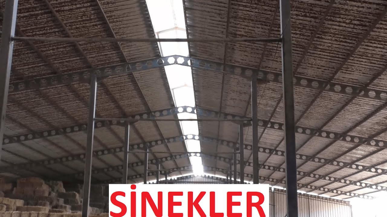 ÇİFTLİKLERDE SİNEK MÜCADELESİ ( Hastalıklar Sinekle de Bulaşır )