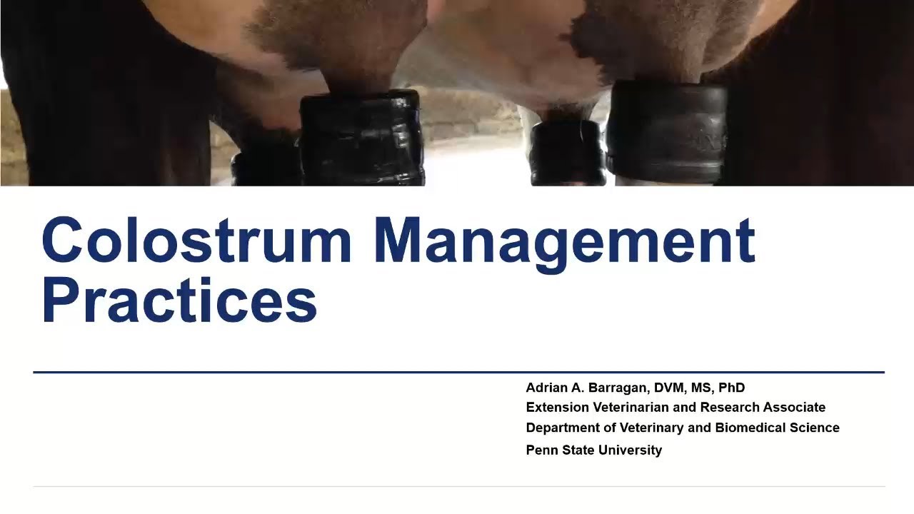 Colostrum Management Practices
