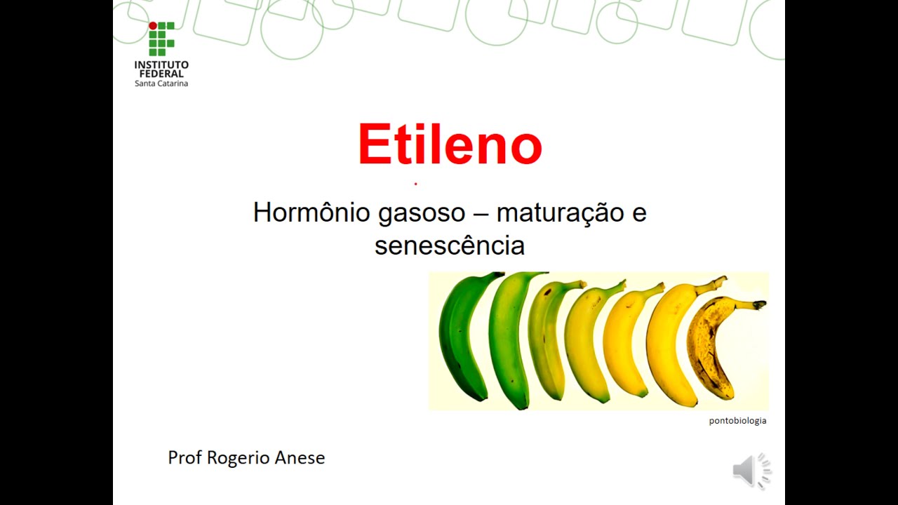 Etileno