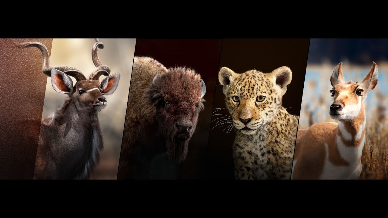 Blender 3D Animals & CGI Showreel | VFX Grace