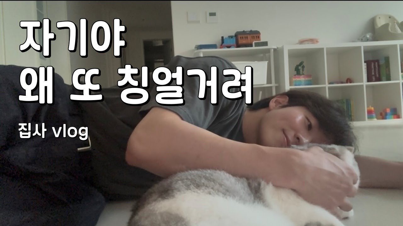 [VLOG] 자기야, 왜 또 칭얼거려｜집사 브이로그