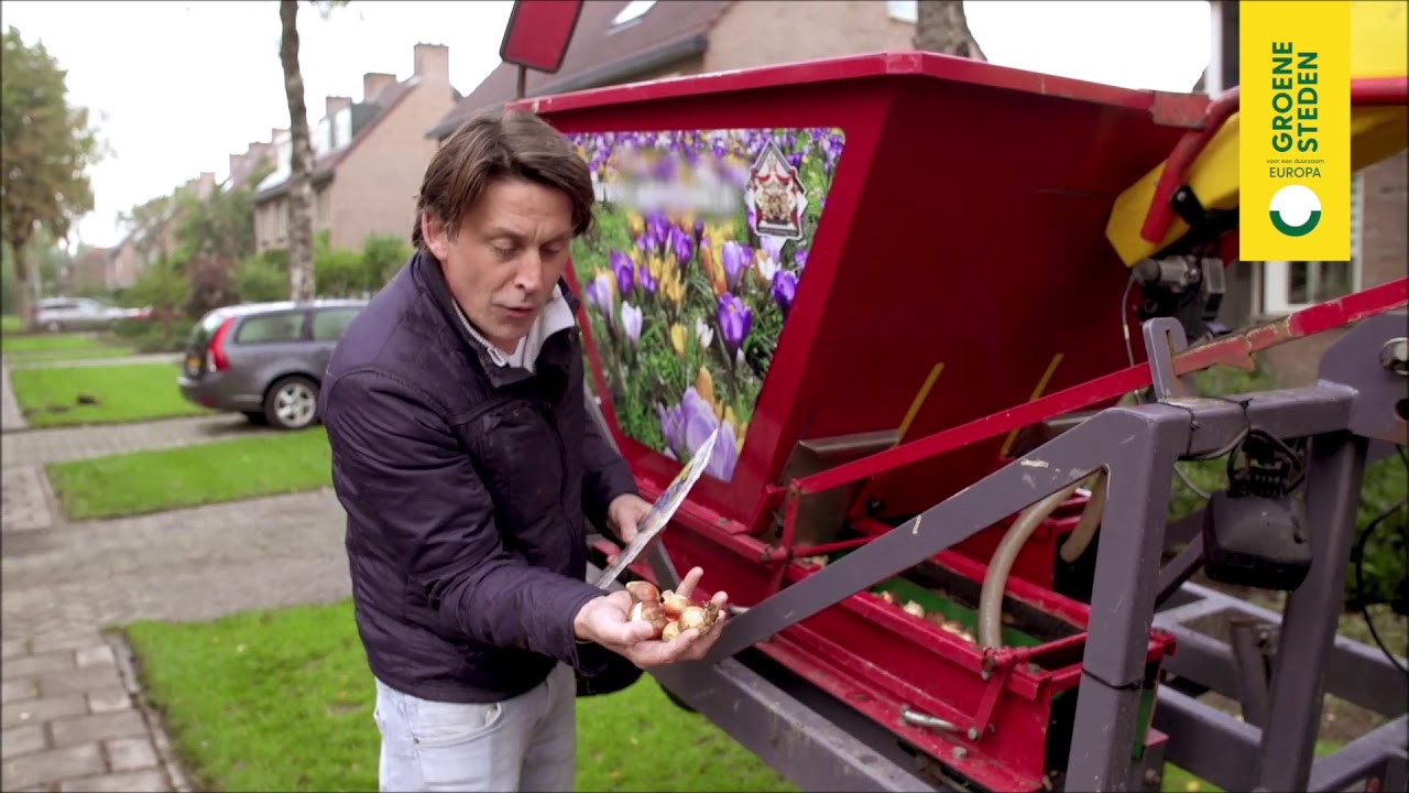 GROENE STEDEN VOOR EEN DUURZAAM EUROPA, BIODIVERSITEIT EN BLOEMBOLLEN