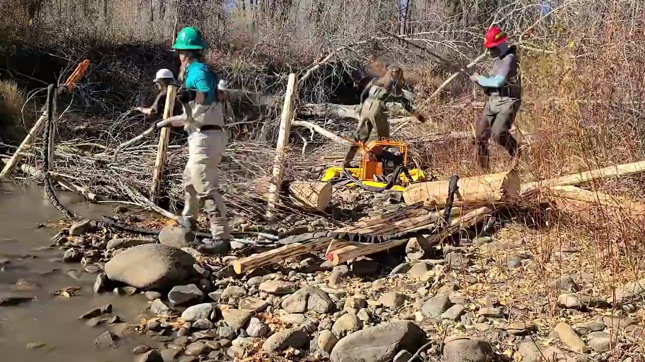 Mancos River restoration time lapse