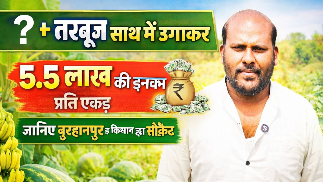 5.5 लाख प्रति एकड़ कमाई | केला + तरबूज की इंटरक्रॉपिंग खेती, किसान का सीक्रेट केला और तरबूज की खेती