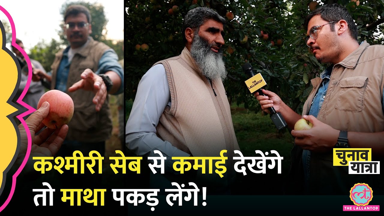 कश्मीरी सेब के खेत का हाल तो देखिए! Kashmir Apple price | Jammu Kashmir election news hindi