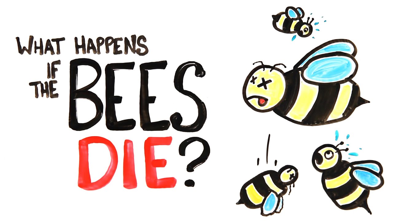 What Happens If All The Bees Die?