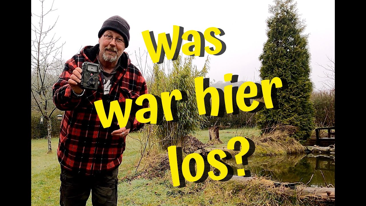 Mysteriöse Aufnahmen auf der Wildkamera, was war im Garten los?