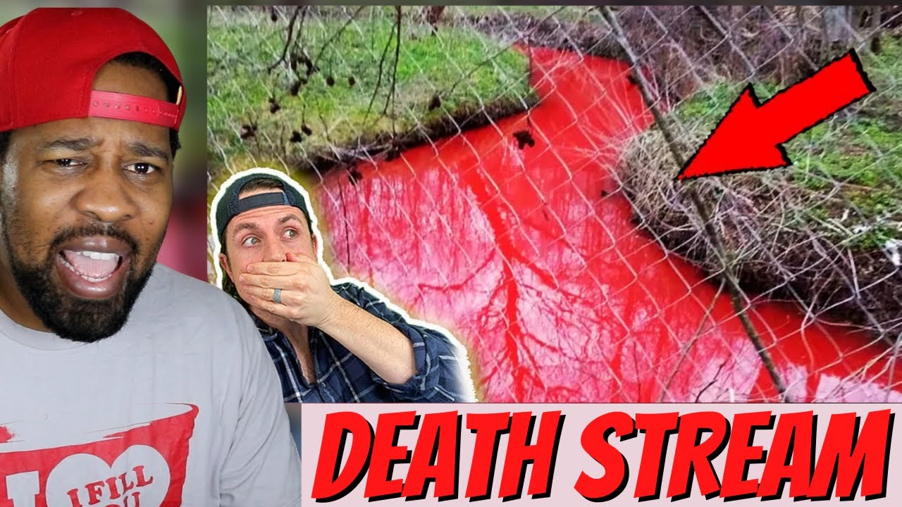Top 3 stories that sound fake but are 100% real...