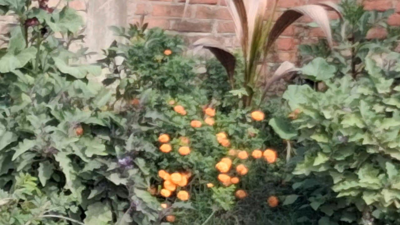 A.S Angel Vlogs hi guys 🥰