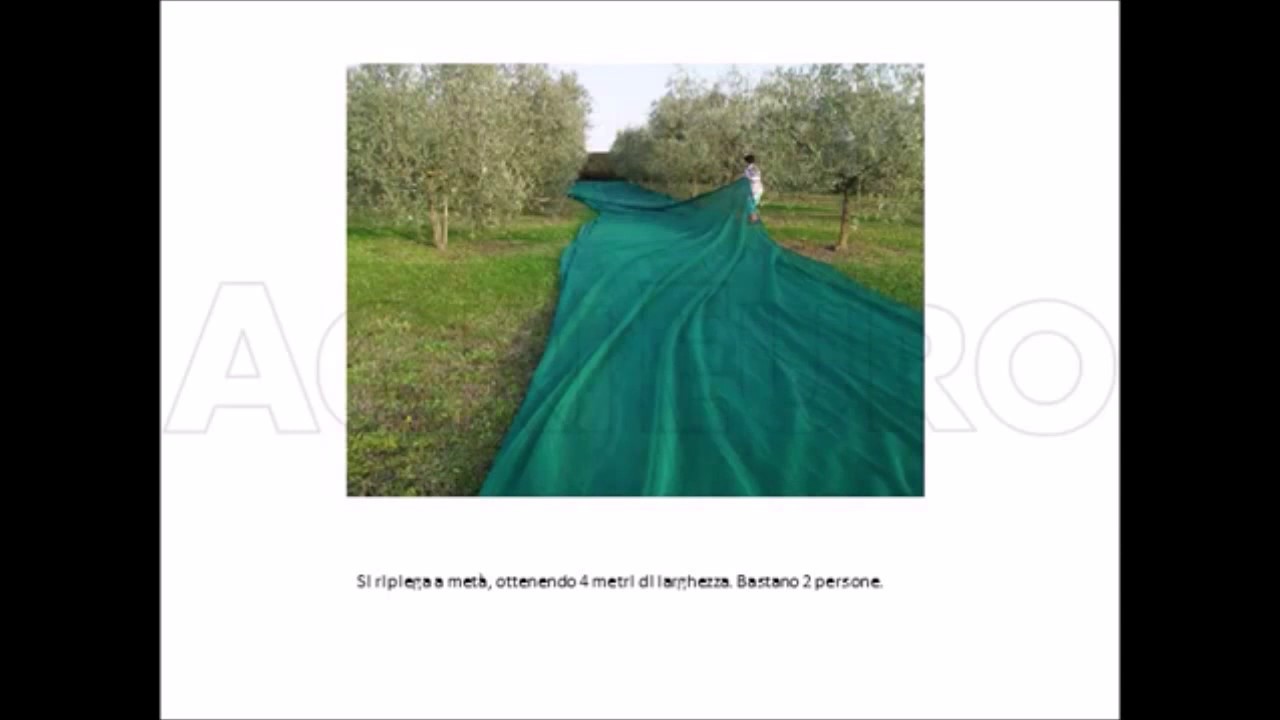 Test et caractéristiques du Filet à Olives GeoTech Anti-déchirures