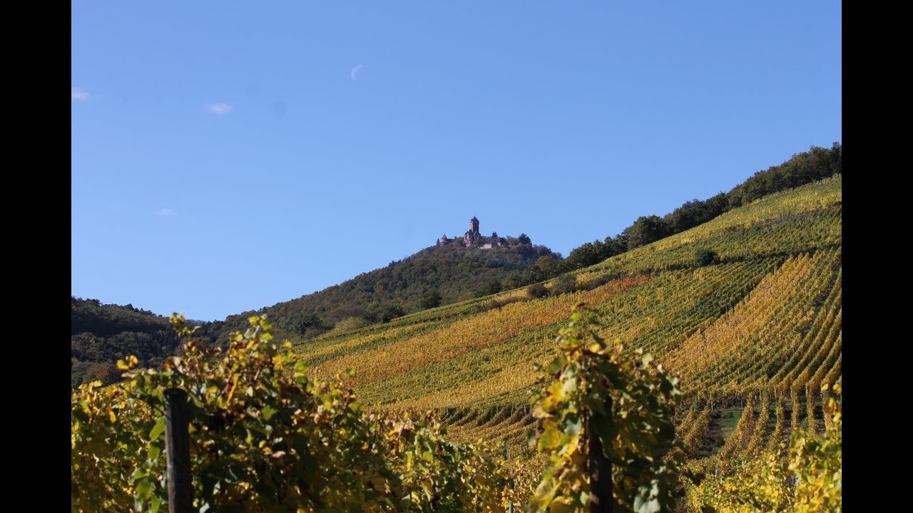 Vacances à vivre en famille en Alsace