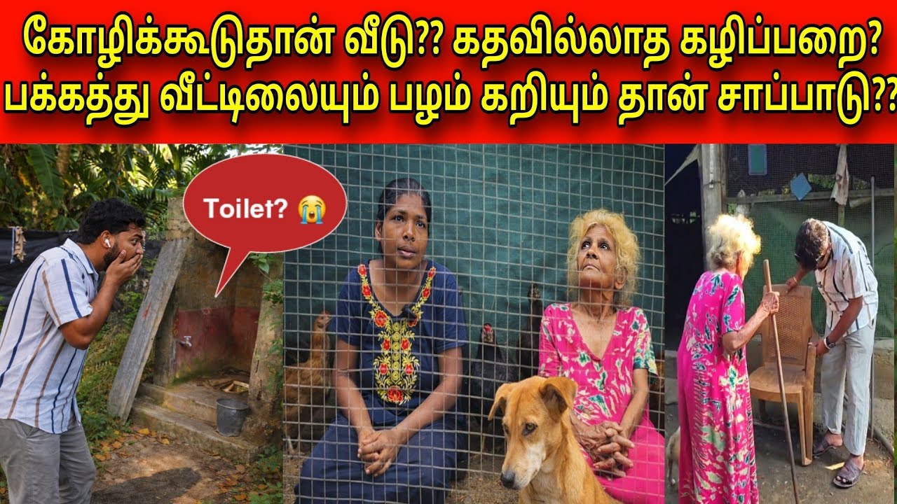கடைசியில் கிடைத்த சாட்சி 🥺😭 | கடவுளே என்ன கொடுமை இது?? | Tamil | SK VLOG