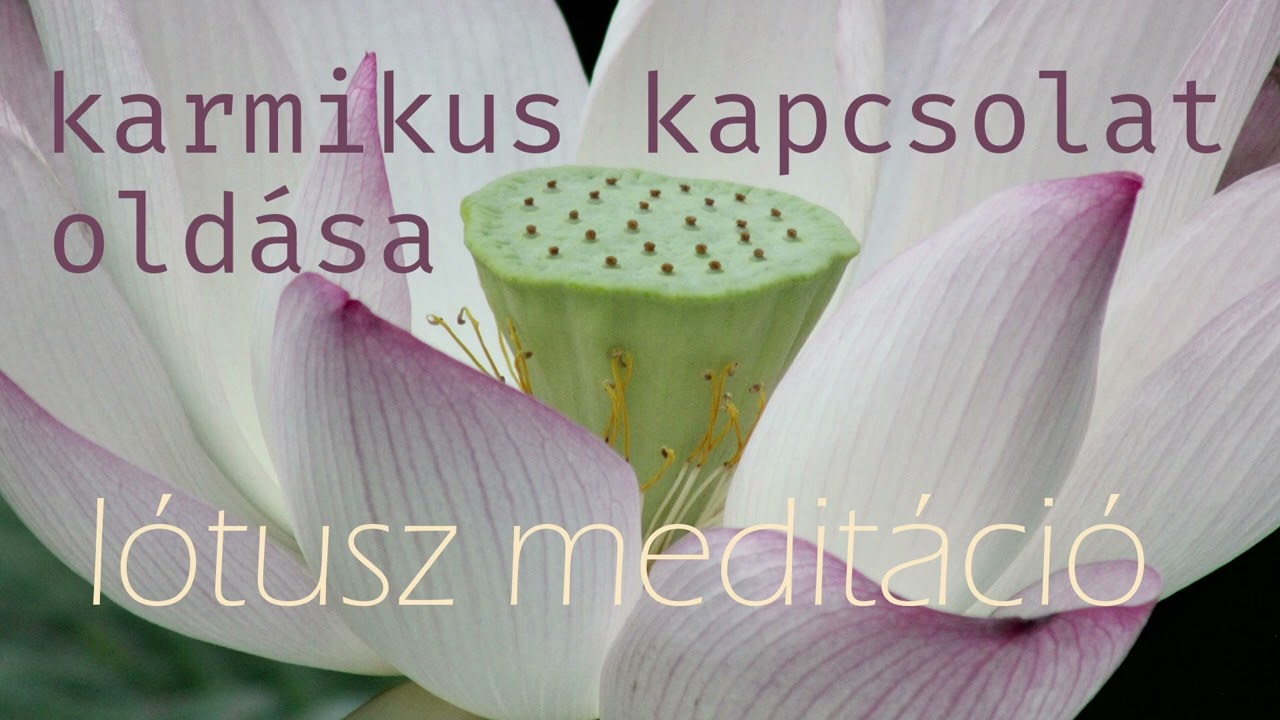 Karmikus kapcsolat oldása - gyémánt lótusz meditáció (www.sorshalo.hu)