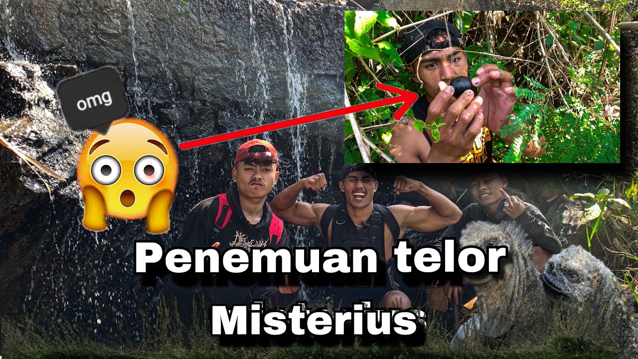 PENEMUAN TELOR HEWAN LANGKA DI DUNIA‼️