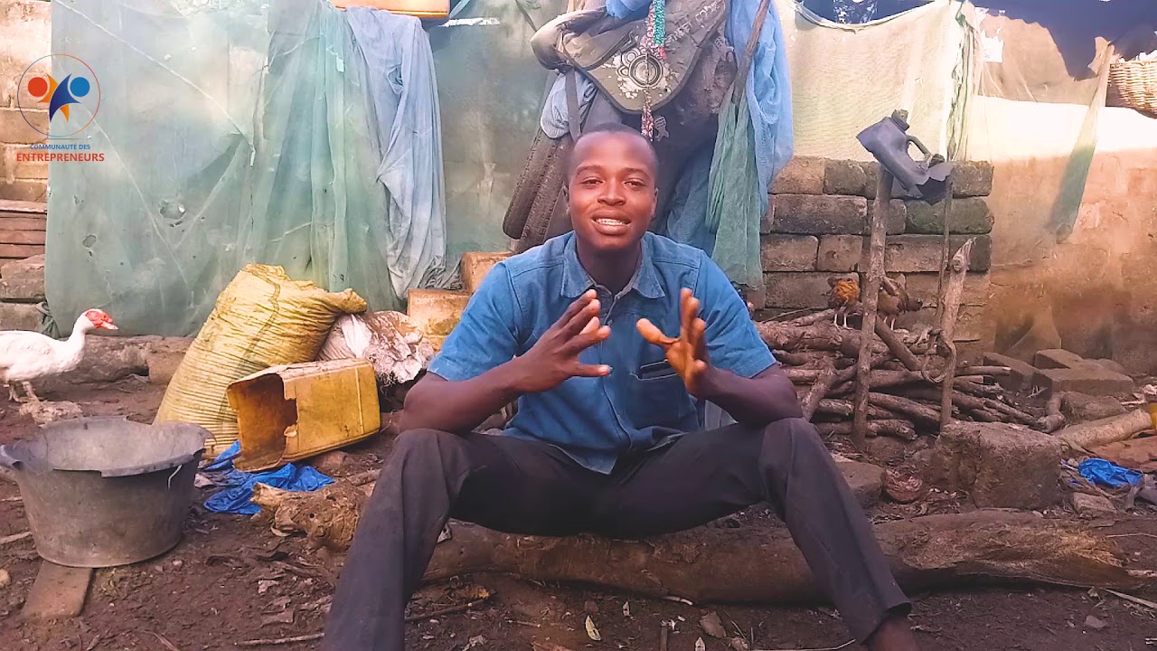 l'elevage des poulets locaux et goliath au bénin (COMMENT IL A COMMENCE?)