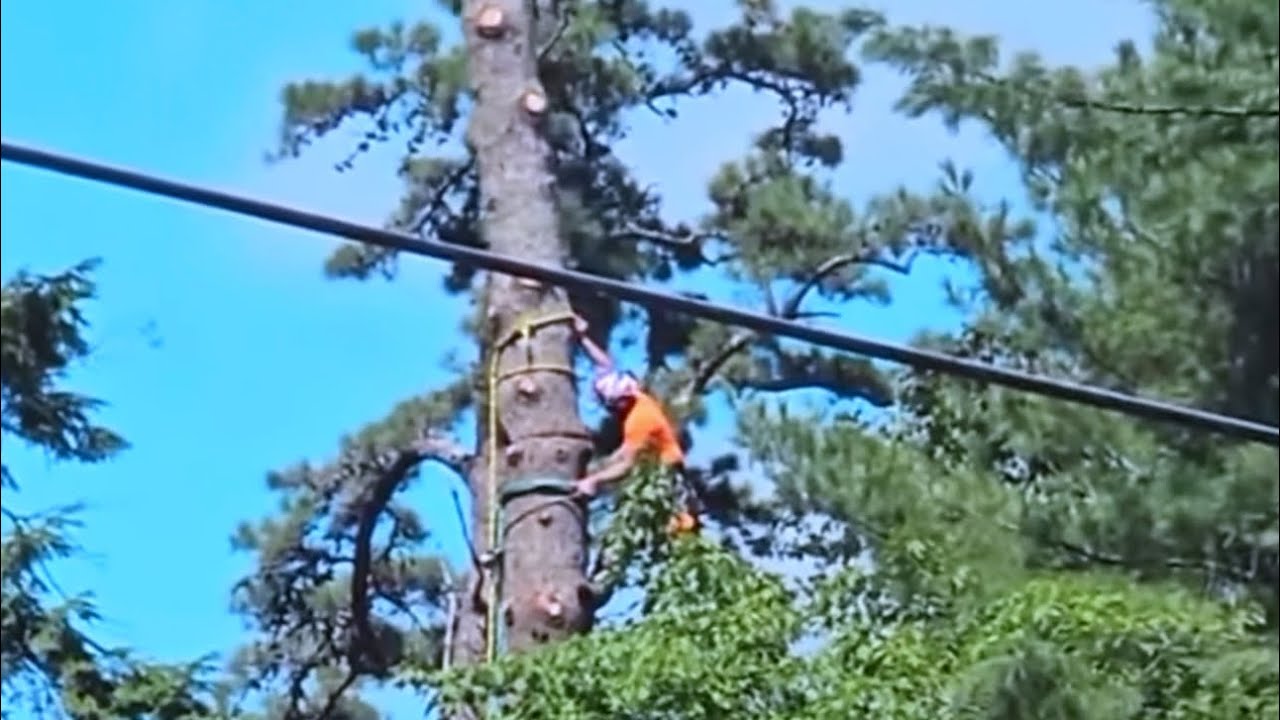 I hope they had insurance 😢 #funny #constructionwork #constructionengineer #satisfying #construction
