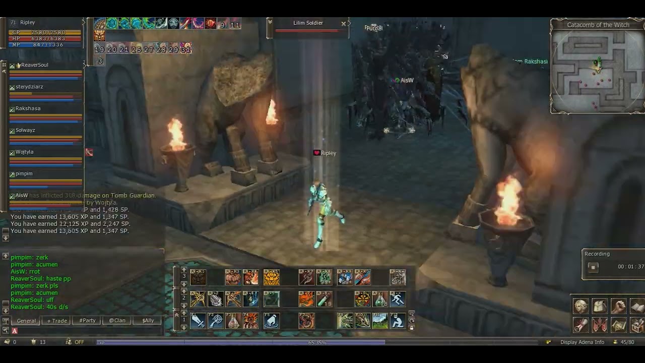 Catacomb of the Witch pulling Lineage 2 Reborn