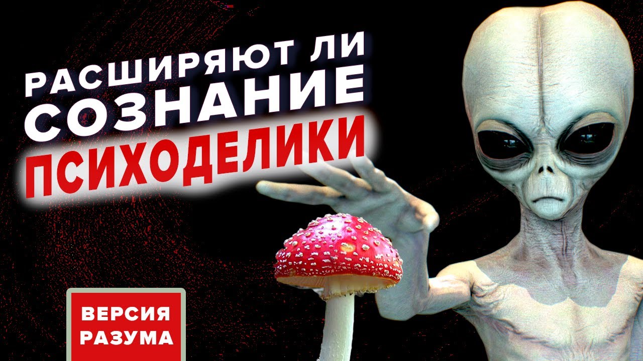 Расширяется ли сознание с помощью психоделиков | Открыт ли путь в Бесконечность