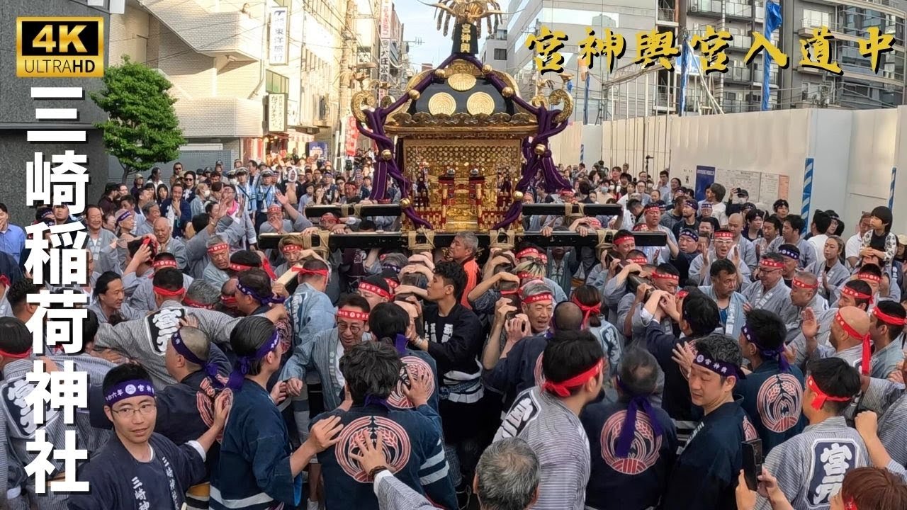 【三崎稲荷神社】宮神輿宮入道中③　～2024年～