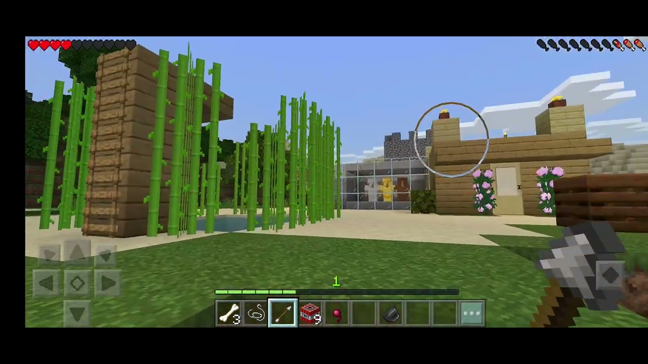 Day -11 in craft world 