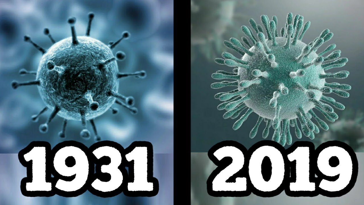 Koronavirus tarixi‚ virus qachon paydo bo'lgan?